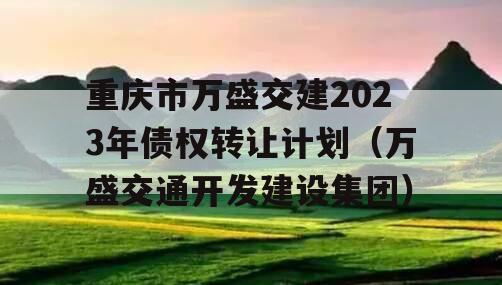 重庆市万盛交建2023年债权转让计划（万盛交通开发建设集团）