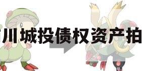 南川城投债权资产拍卖 南川城投债权资产拍卖