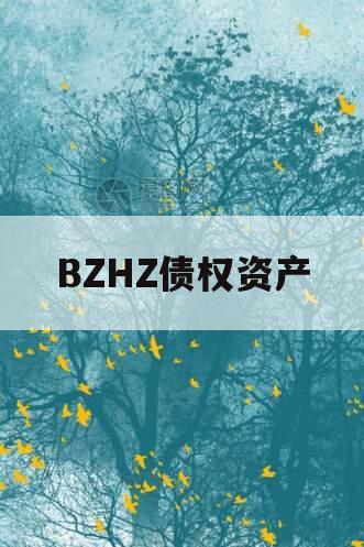 BZHZ债权资产 BZHZ债权资产