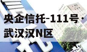 央企信托-111号·武汉汉N区