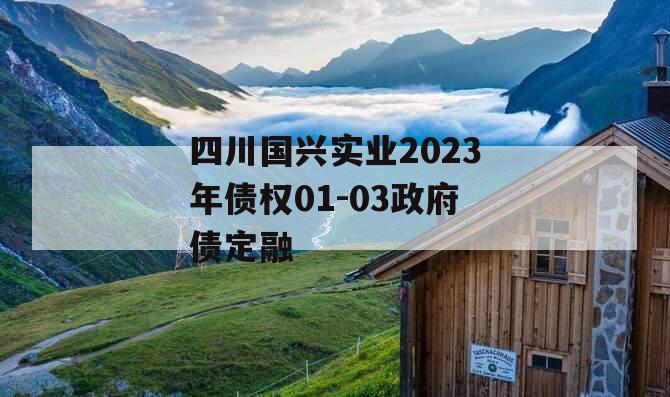 四川国兴实业2023年债权01-03政府债定融