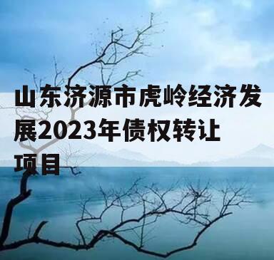 山东济源市虎岭经济发展2023年债权转让项目
