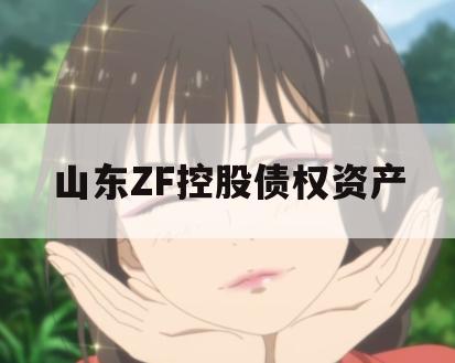 山东ZF控股债权资产