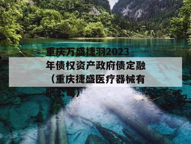 重庆万盛捷羽2023年债权资产政府债定融（重庆捷盛医疗器械有限公司）