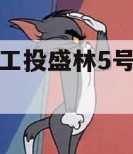 江油工投盛林5号债权拍卖 江油工投盛林5号债权拍卖