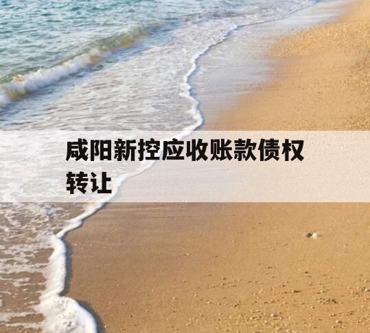 咸阳新控应收账款债权转让