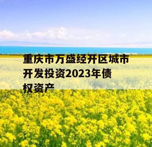 重庆市万盛经开区城市开发投资2023年债权资产