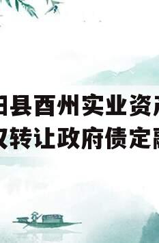 酉阳县酉州实业资产收益权转让政府债定融