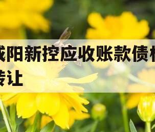 咸阳新控应收账款债权转让