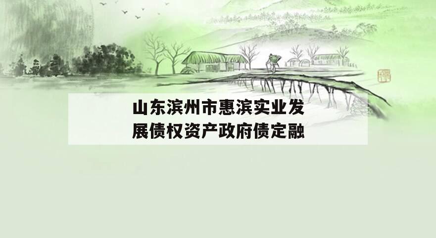 山东滨州市惠滨实业发展债权资产政府债定融