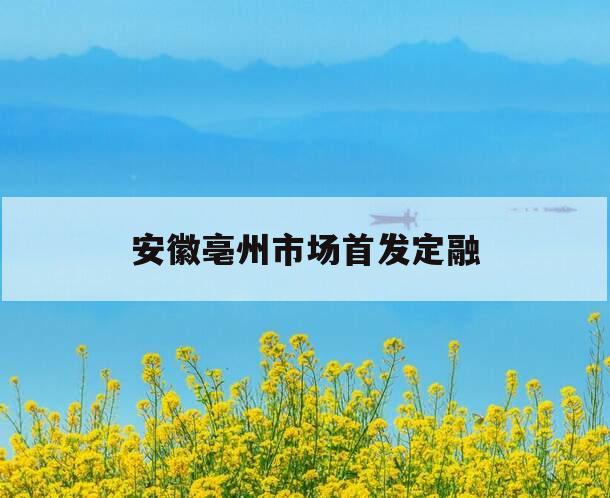 安徽亳州市场首发定融 安徽亳州市场首发定融