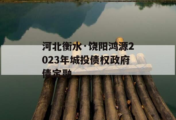 河北衡水·饶阳鸿源2023年城投债权政府债定融 河北衡水·饶阳鸿源2023年城投债权政府债定融