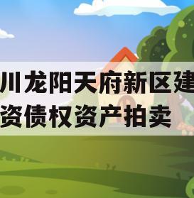 四川龙阳天府新区建设投资债权资产拍卖