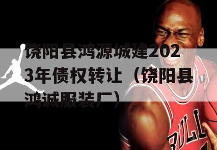 饶阳县鸿源城建2023年债权转让（饶阳县鸿诚服装厂）