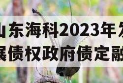 山东海科2023年发展债权政府债定融