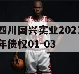 四川国兴实业2023年债权01-03