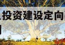 兴鱼投资建设定向融资计划