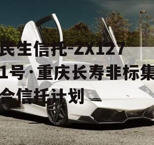 民生信托-ZX1271号·重庆长寿非标集合信托计划