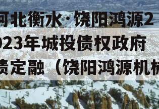 河北衡水·饶阳鸿源2023年城投债权政府债定融（饶阳鸿源机械）