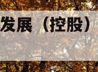 简阳发展（控股）债权资产