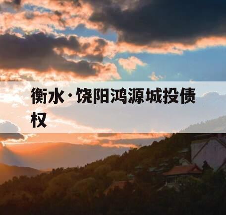 衡水·饶阳鸿源城投债权