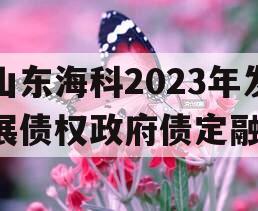 山东海科2023年发展债权政府债定融
