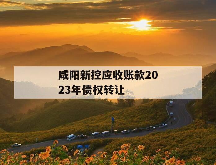 咸阳新控应收账款2023年债权转让