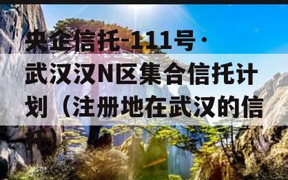 央企信托-111号·武汉汉N区集合信托计划（注册地在武汉的信托）