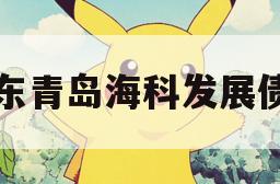 山东青岛海科发展债权 山东青岛海科发展债权