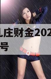 台儿庄财金2023债权2号