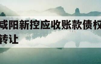 咸阳新控应收账款债权转让