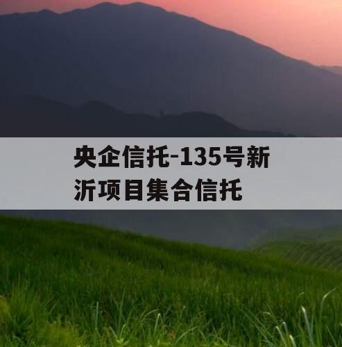 央企信托-135号新沂项目集合信托