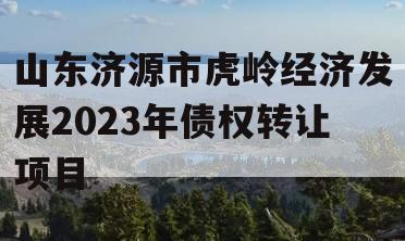 山东济源市虎岭经济发展2023年债权转让项目 山东济源市虎岭经济发展2023年债权转让项目