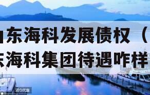 山东海科发展债权（山东海科集团待遇咋样）