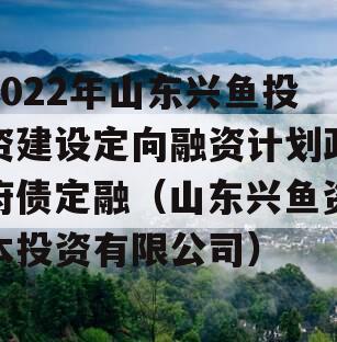 2022年山东兴鱼投资建设定向融资计划政府债定融（山东兴鱼资本投资有限公司）