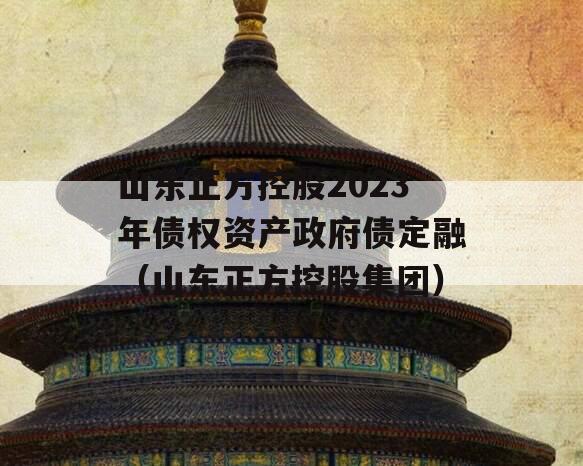 山东正方控股2023年债权资产政府债定融（山东正方控股集团）