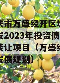 重庆市万盛经开区城市开发2023年投资债权转让项目（万盛经开区发展规划）