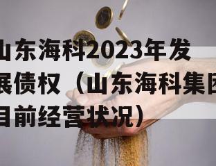 山东海科2023年发展债权（山东海科集团目前经营状况）
