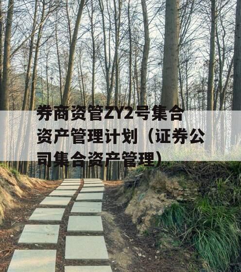 券商资管ZY2号集合资产管理计划（证券公司集合资产管理）