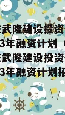 重庆武隆建设投资债权2023年融资计划（重庆武隆建设投资债权2023年融资计划招标）