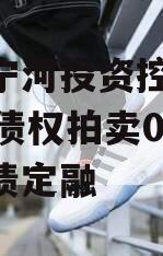 天津宁河投资控股2023年债权拍卖02号政府债定融
