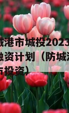 防城港市城投2023年融资计划（防城港市城市投资）