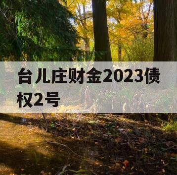 台儿庄财金2023债权2号