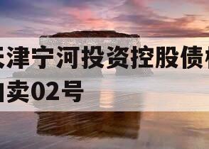 天津宁河投资控股债权拍卖02号 天津宁河投资控股债权拍卖02号