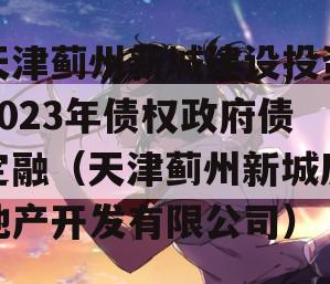 天津蓟州新城建设投资2023年债权政府债定融（天津蓟州新城房地产开发有限公司）
