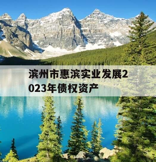 滨州市惠滨实业发展2023年债权资产 滨州市惠滨实业发展2023年债权资产