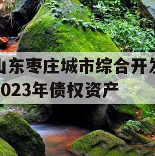 山东枣庄城市综合开发2023年债权资产