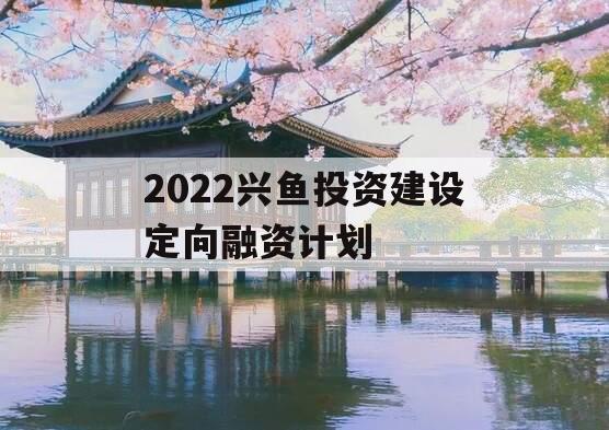 2022兴鱼投资建设定向融资计划
