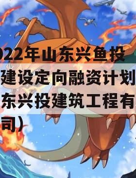 2022年山东兴鱼投资建设定向融资计划（山东兴投建筑工程有限公司）