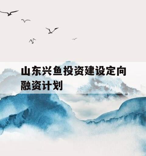 山东兴鱼投资建设定向融资计划